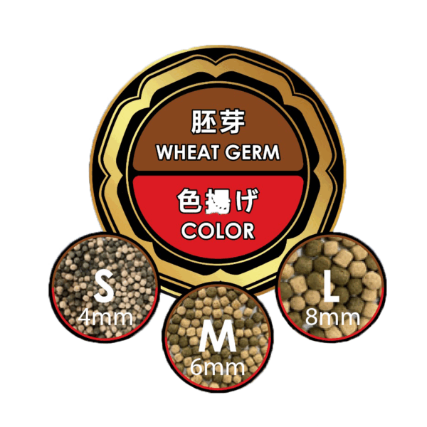 Ippai Wheatgerm + Colour 5kg - Image 4